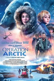Operación ártico