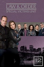 Ley y Orden: Unidad de víctimas especiales: Temporada 12