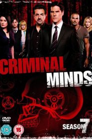 Mentes criminales: Temporada 7