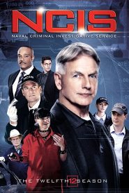 Navy: Investigación criminal: Temporada 12