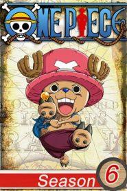 One Piece: Temporada 6