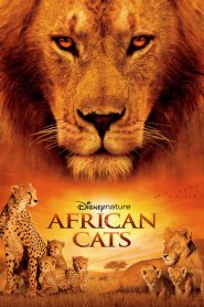 Grandes felinos africanos: el reino del coraje